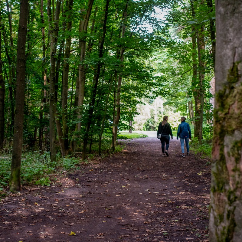 naturcoaching_susannepues